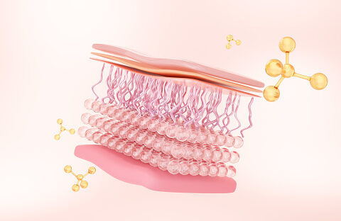 Collagen Stimulators